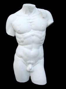 Anatomia LA 10 Torso tuttotondo Davide di Michelangelo