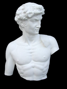 Anatomia LA 24 Torso tuttotondo Davide di Michelangelo