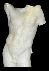 Anatomia LA 26 Torso anteriore Hermes di Prassitele