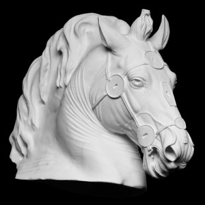 LB 366 Testa Cavallo di Marco Aurelio Museo Capitolino Roma