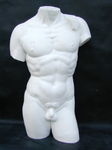 Torso Davide di Michelangelo