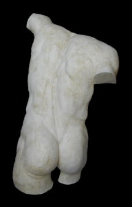 Anatomia LA 34 Torso posteriore Gladiatore Borghese